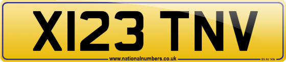 X123 TNV