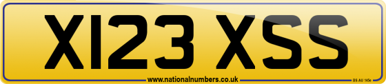 X123 XSS