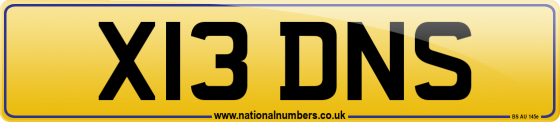 X13 DNS