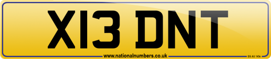 X13 DNT