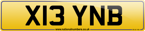 X13 YNB