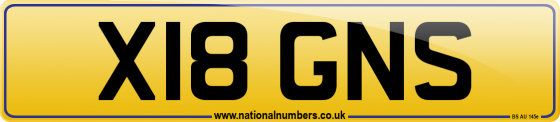 X18 GNS