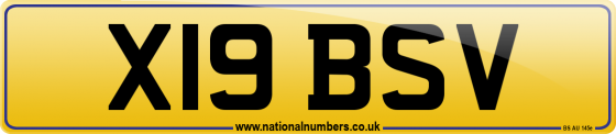 X19 BSV