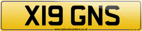 X19 GNS