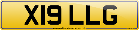 X19 LLG