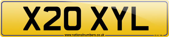 X20 XYL