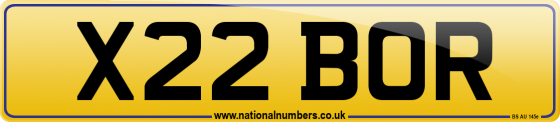 X22 BOR