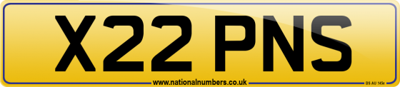 X22 PNS