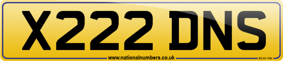 X222 DNS