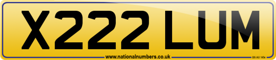 X222 LUM