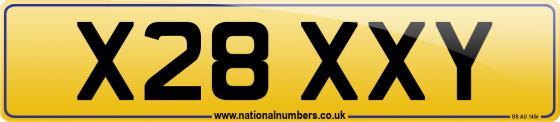 X28 XXY