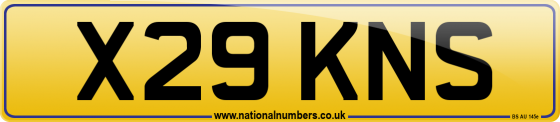 X29 KNS