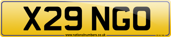 X29 NGO