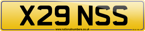 X29 NSS