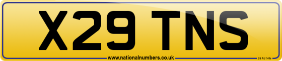X29 TNS