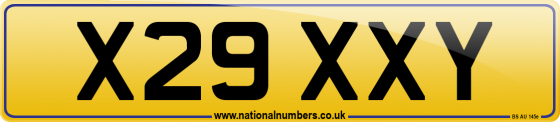 X29 XXY