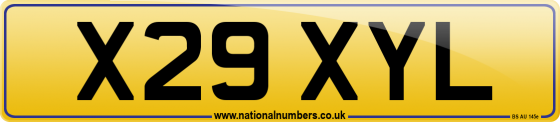 X29 XYL