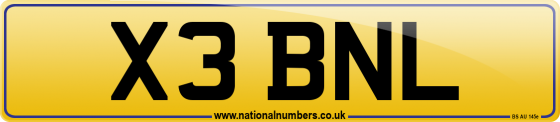 X3 BNL