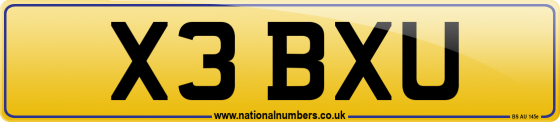 X3 BXU