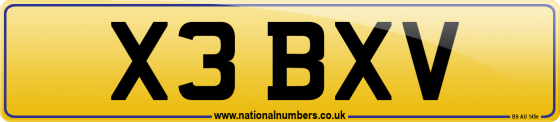 X3 BXV