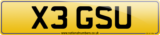 X3 GSU