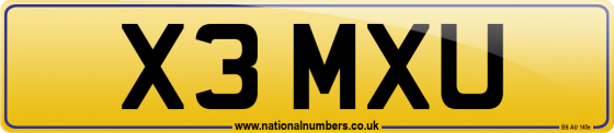 X3 MXU