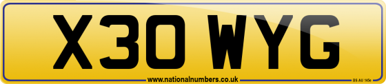 X30 WYG