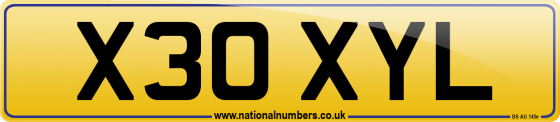 X30 XYL