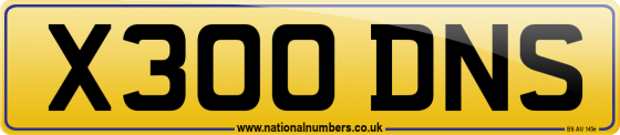 X300 DNS