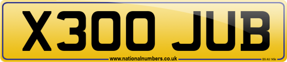 X300 JUB