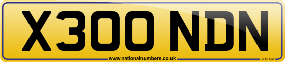 X300 NDN