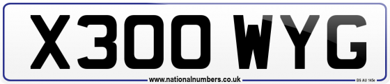 X300 WYG