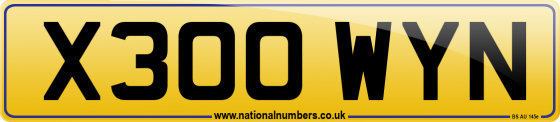 X300 WYN