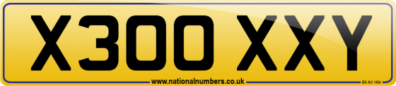 X300 XXY