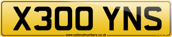 X300 YNS