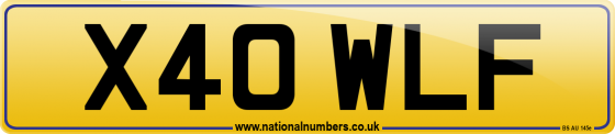 X40 WLF