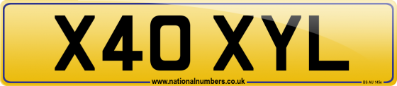 X40 XYL