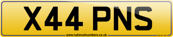 X44 PNS