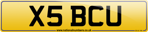 X5 BCU