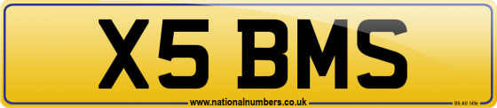 X5 BMS