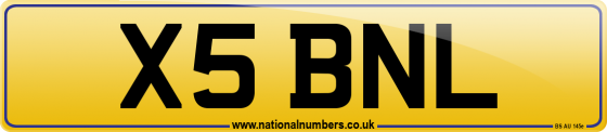 X5 BNL