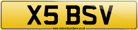 X5 BSV