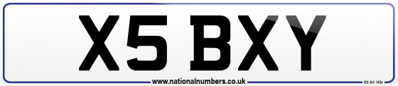 X5 BXY