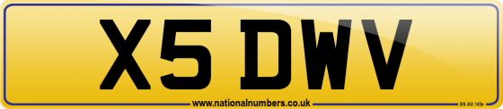 X5 DWV