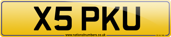 X5 PKU