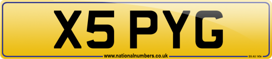 X5 PYG