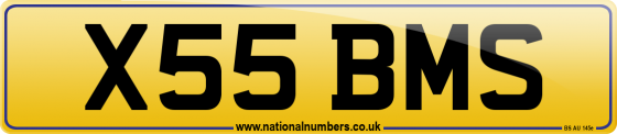 X55 BMS