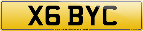 X6 BYC