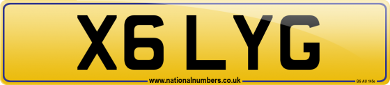 X6 LYG