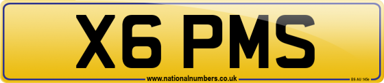X6 PMS